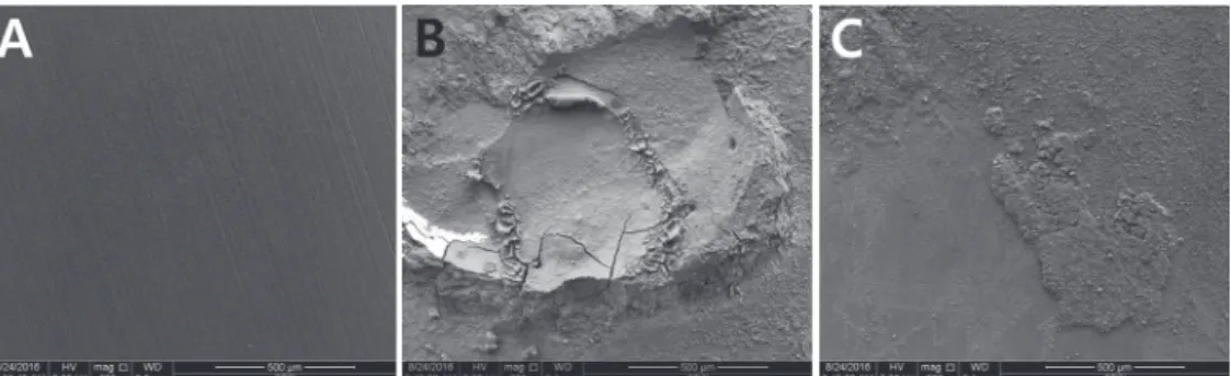 Fig. 4. Representative scanning electron microscope image of fracture mode on zirconia discs (200)