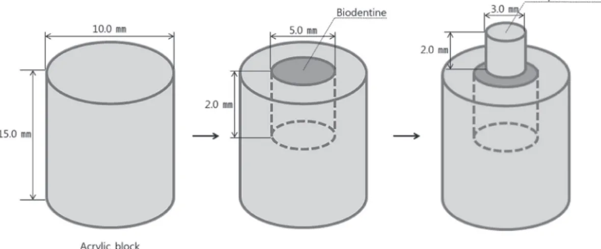Fig. 2. Schematic illustration of the shear bond strength  test set-up.
