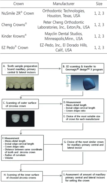 Fig. 1. Schematic illustration of the experimental procedure.