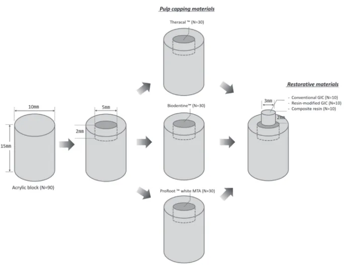 Fig. 1. Schematic illustration of the preparation of the samples.