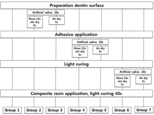 Fig. 1. Schematic diagram of the experimental design.