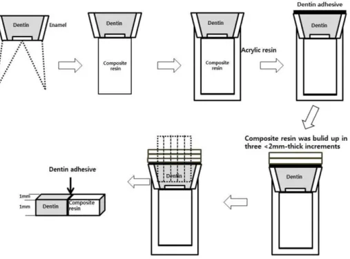 Fig. 2. Schematic diagram illustration the procedures for preparing the specimens used in the microtensile bond strength test.