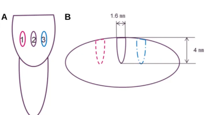 Fig. 3. Schematic draw of cavity design with its size.