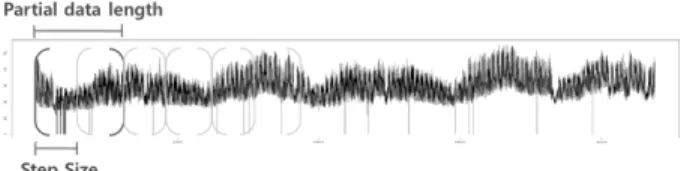 Fig. 6. Segmentation using Partial Data Length and Step Size  of Time Series Data