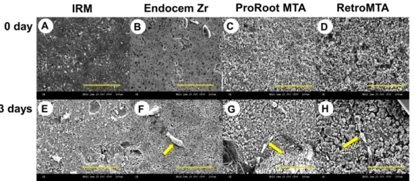 Fig. 1. Changes in the surface topography of discs constructed using various MTA/MTA-like materials (ProRoot MTA, RetroMTA, Endocem Zr, and IRM) between before (0 day) and 3 days after cell culture, and cell adhesion to the test materials as analyzed using