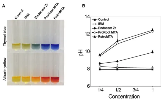 Fig. 4. pH differences between the four experimental materials. (A) The pH of the experimental materials was visualized using Thymol blue and Alizarin Yellow R staining in test extracts at the 1:2 concentration