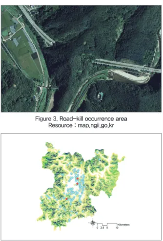 Figure 3. Road-kill occurrence area Resource : map.ngii.go.kr