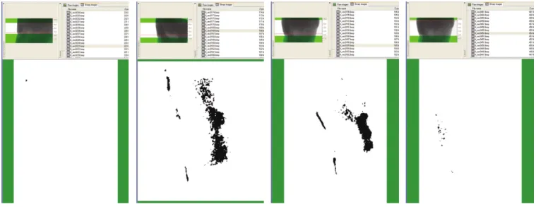 Fig.  14. Silver-nitrate  shown  at  the dentin  portion  using  AdheSE � dentin  bonding  agent  from  Group IV.