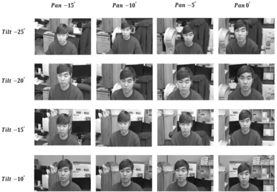 Fig. 8. Head Pose Ground Truth Images