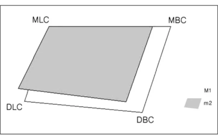 Fig. 8. The parallelograms, each representing female m2 and M1, over- over-lapped using the mesiolingual cusp tip(MLC) point and the line between mesiolingual cusp tip(MLC) and mesiobuccal cusp tip(MBC) as the fixed line.