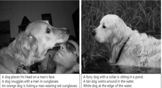 Fig. 1. Image Caption Examples