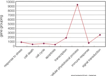 Fig. 6은 건전치아에서 발현이 증가된 유전자들의 생물학적 과정과 분자생물학적 기능적 분류로 생물학적 과정에서는 신호 전달, 전사의 조절, 대사, 세포 증식, 세포 유착등에 관계되는 유전자가 많았으며 분자생물학적 기능에서는 수용체 활성, 막 전위 수용체 활성, GTP 결합등에 관계되는 유전자가 많았다
