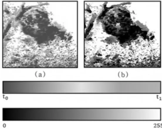 Fig. 4. Examples of Parametric Image는  클릭(clique)의  포텐셜  함수(potential  function)를  상호  결