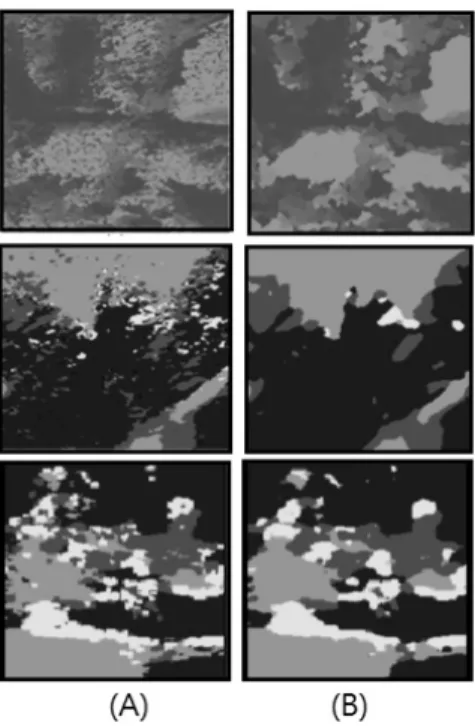 Fig 7. Example of Parametric Image Generated by the  MRF-based Image Enhancing Technique
