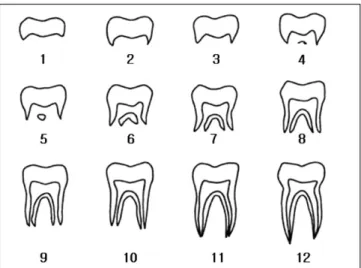 Table 2. Intraobserver analysis of first molars using Spearman correlation coefficient 