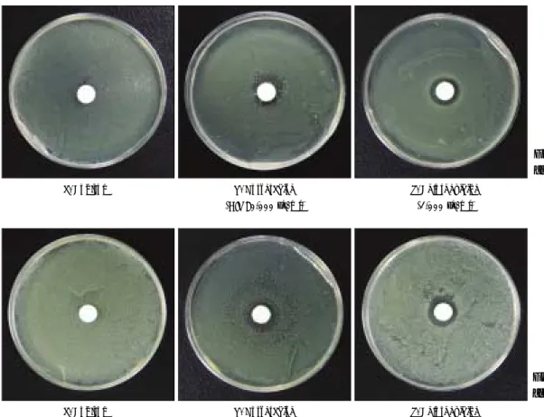 Table 2. MIC values for horseradish root extracts and chlorhexidine against E. faecalis and F