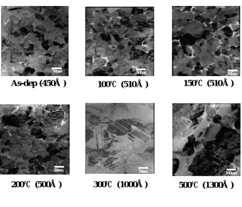 Fig. 10. Plan-view TEM of  Ag(10at.%Mg)/TiN/Si annealed in vacuum.