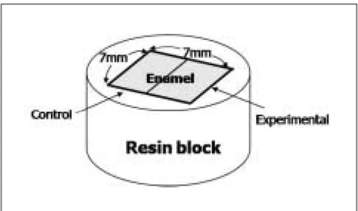 Fig. 1. Schematic diagram of tooth section invested in resin block.