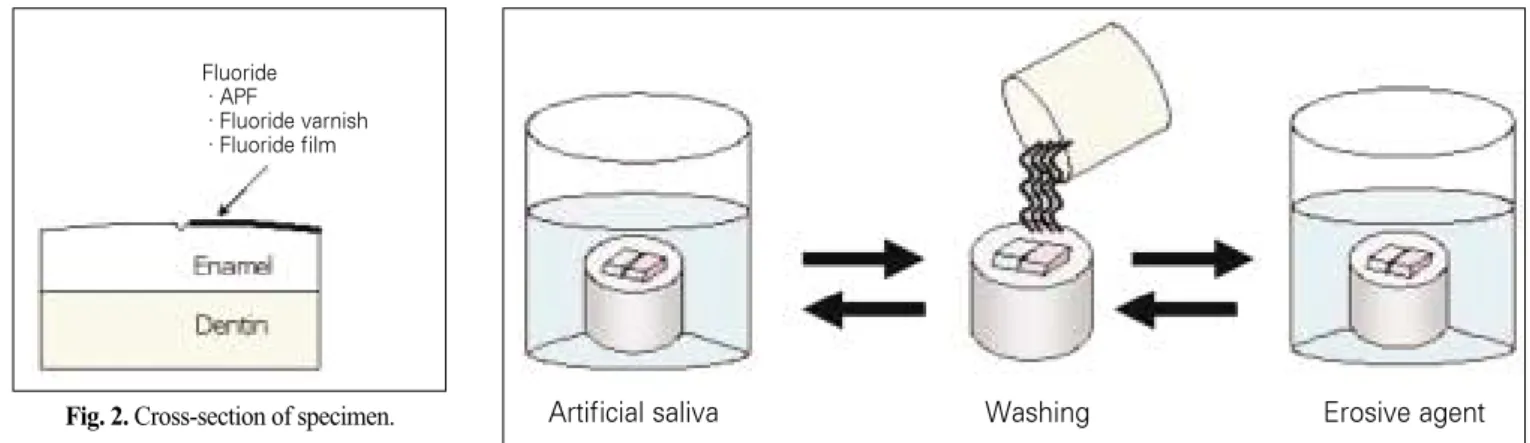 Fig. 3. Experiment processing.
