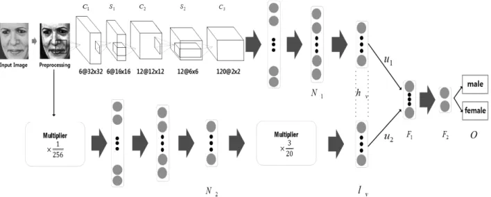 Fig. 1. Deep Learning Network for Gender Classification 지금까지  성별  인식률을  향상시키기  위해  많은  연구가  이 루어졌다