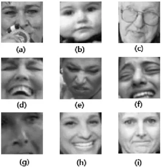 Fig. 5. Some Examples of Mis-classification