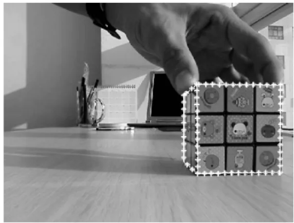 Fig. 1. 2D Image Template: Template Cube is Denoted  by White Boundary 첫  번째  시나리오는  Fig