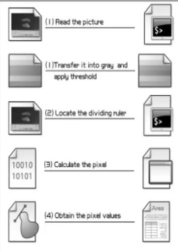 Fig. 5. An Example of Unrecognizable Pathologic Image  by the Conventional Edge Detection Algorithm