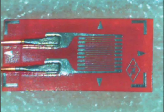 Fig. 1. Magnified image of strain gauge (X 30).
