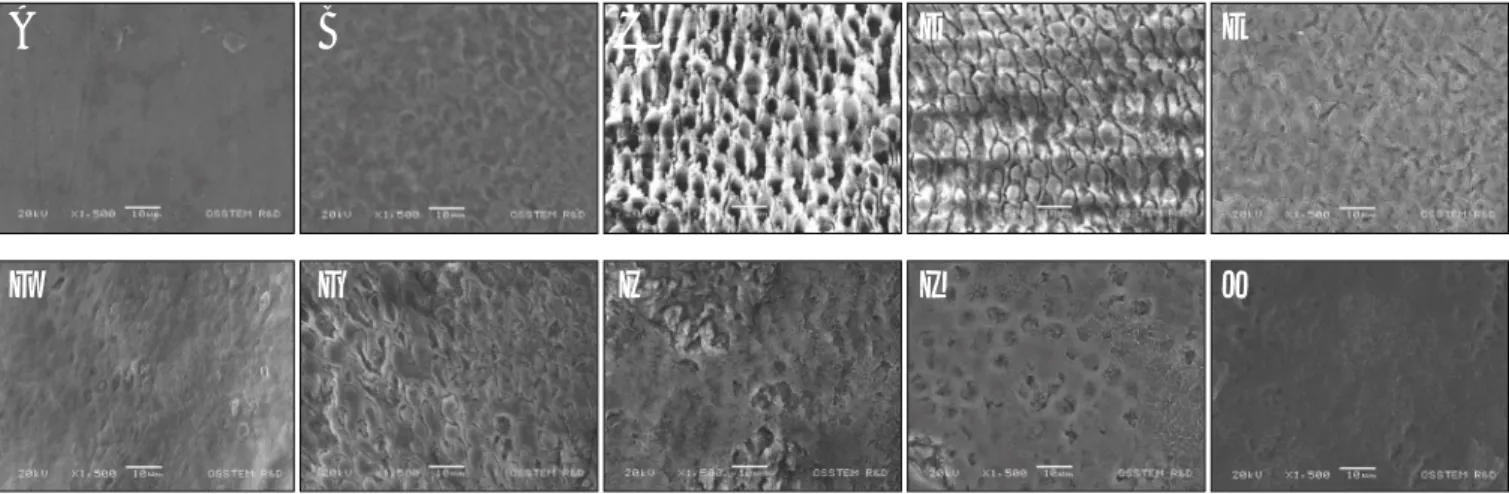 Fig. 1. The scanning electron micrograph of the pretreated surfaces of white spot lesions