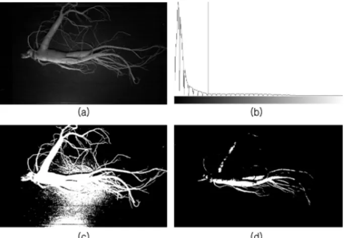 Fig. 2. Parameter extraction process (a) Orignal Image, (b)  Gray Image, (c) Binarization Image, (d) Block Filtered Image