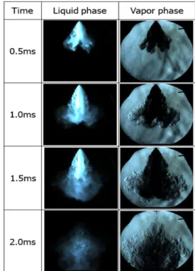 Fig. 3 Spray progress in liquid- and vapor-phase at the  same conditions (P inj =200bar, T amb =373K, t eng =1.5ms)