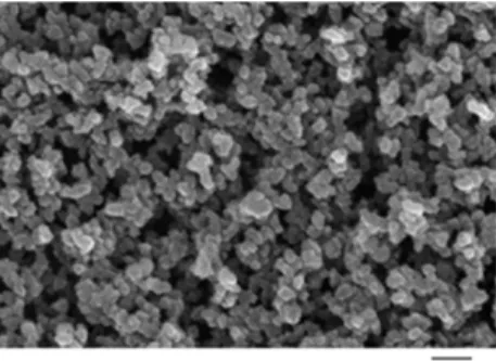 Fig. 6. Nitrogen sorption isotherms patterns of porous  TiO 2 -SiO 2  composite. 