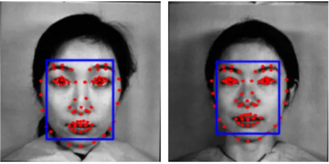 Fig. 2. Block extraction in a face image