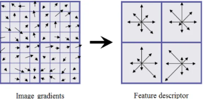 Fig. 3. SIFT descriptor