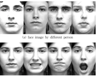 Fig. 3. Sample Images Via Distance-Based Face Normalization