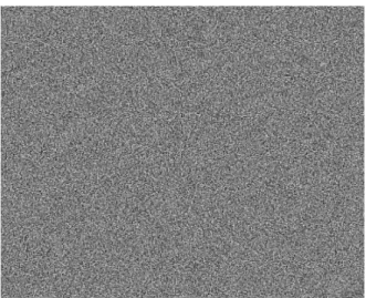 Fig. 3. Example of Extracted Sensor Pattern Noise  from 30 Digital Frames