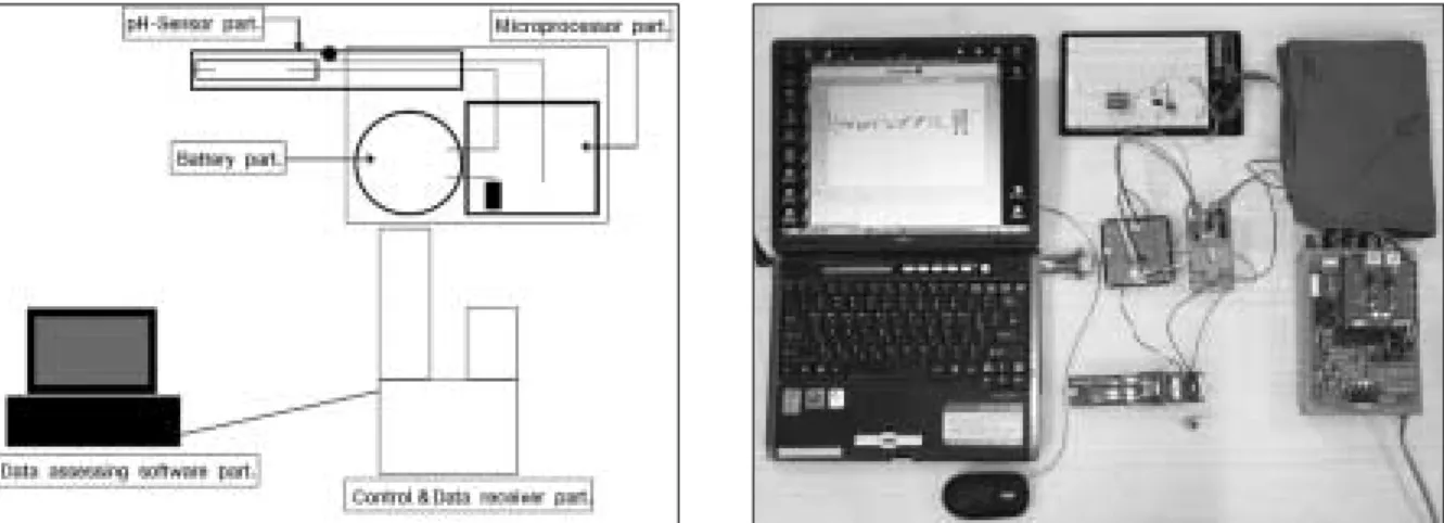 Fig. 1. The components of a wireless intra-oral pH telemeter.