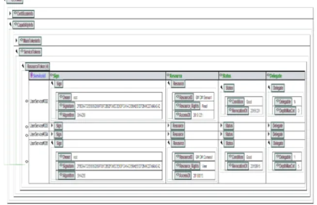 Fig. 4. Structure of Capability Service Token 
