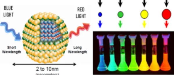 Fig. 6 Crystal structure and emission properties of Ca-α -SiAlONEu 2+  yellow phosphor 12-14)
