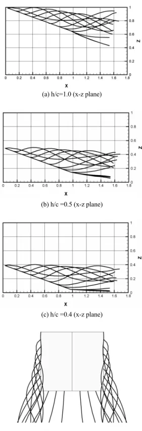 Fig. 4 Seperated wake shaped of a delta wing (AR=1.0).