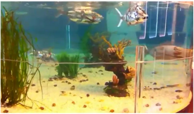 Fig. 11. The experimental result of fish robot in the aquarium 5. 결  론   최근  수중로봇은  사용목적과  적용하고자  하는  환경에  따 라  다양한  형태의  로봇으로  연구  개발이  진행되고  있으며,  특히  생체모방  형태의  수중로봇으로는  물고기,  뱀장어,  상어,  해파리  등이  연구  개발되어왔다[1∼6]