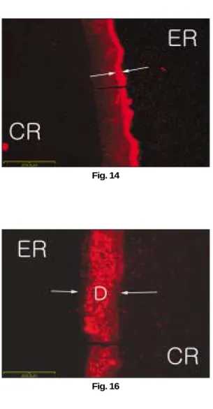 Fig. 13 Fig. 14