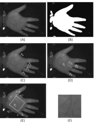 Fig. 1. ROI localization: (A) input image, (B) binarized image,  (C)  hand  contour  and  valley  points,  (D)  center  point  of  a  palm, (E) detected ROI, (F) normalized ROI 