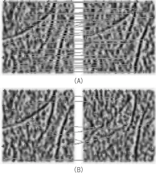 Fig. 3. Corresponding points: 