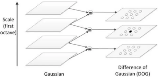 Fig.  1.  A  single  octave  for  Difference  of  Gaussian  (DOG)  is  drawn. The second octave can be generated by down-sampling  from the first octave