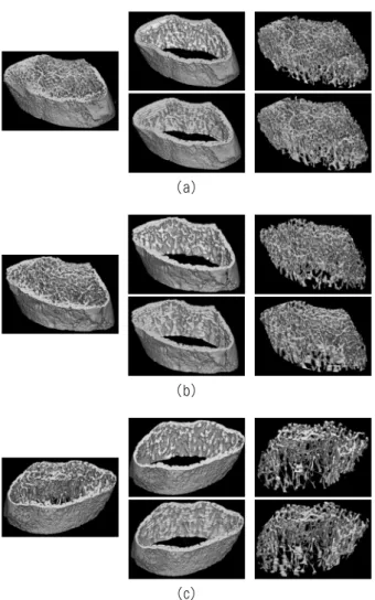 Fig. 9. Regression analysis and Bland-Altman analysis result  for structural parameters 