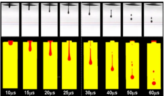 Fig. 11 Comparison between simulation results and  photographical images with time sequence