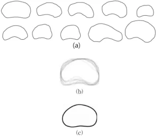 Fig. 4. Radial injections from the center point and  the acquired average points on the lines