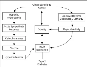 Fig. 1. Obstructive sleep  apnea-diabetes interaction model ( Chasens et al., 2003).  Obstructive Sleep Apnea Hypoxia, Hypercapnia Acute SympatheticResponse CatecholaminesGlucose HyperinsulinemiaObesity Insulin Resistance Type 2 Diabetes  Excessive Daytime