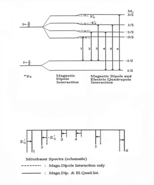 Fig. 2-4  전기4중극자 상호작용이 자기3중극자 상호작용에 비하여 상당히 작은 